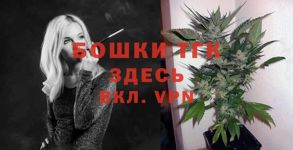 экстази Няндома
